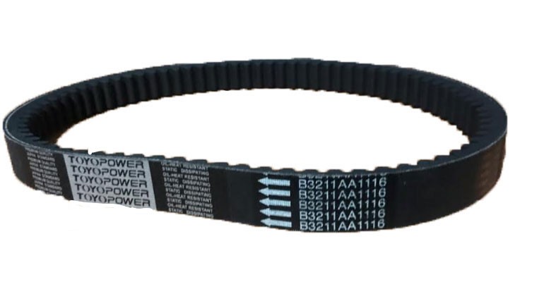 PRIMO　P-80Ⅱ Courroie de variateur vsp Châtenet - 2979