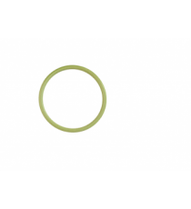 O-RING INJEKTORMUTTER LOMBARDINI FOCS / PROGRESS